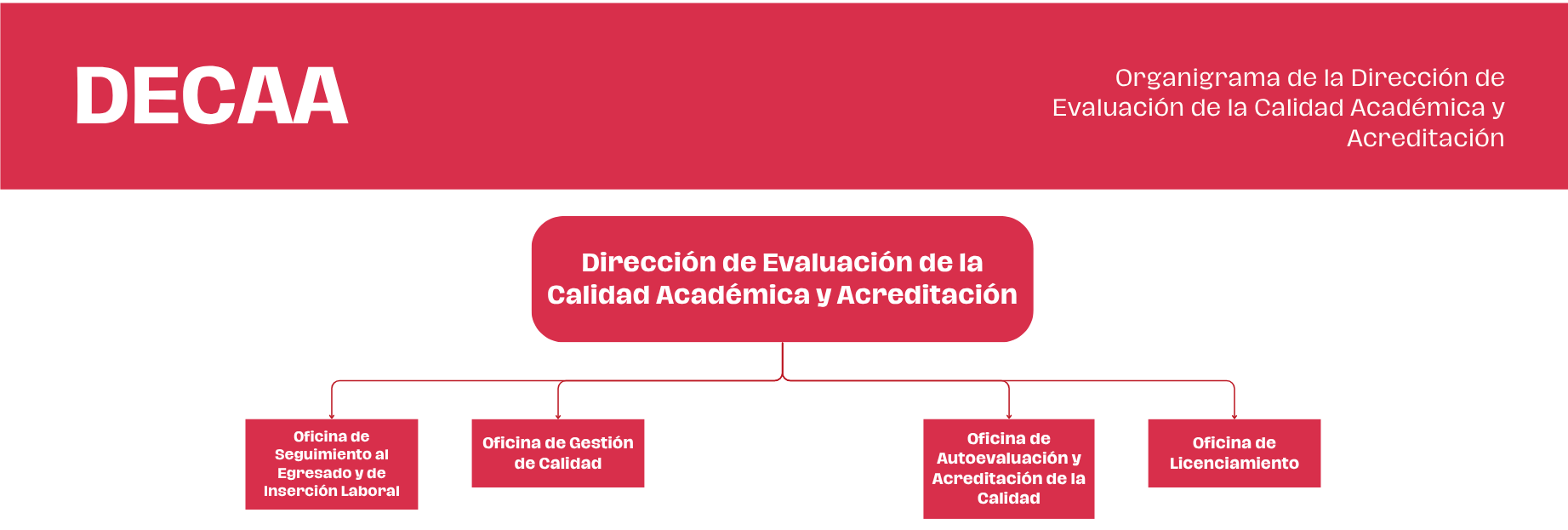 Organigrama DECAA